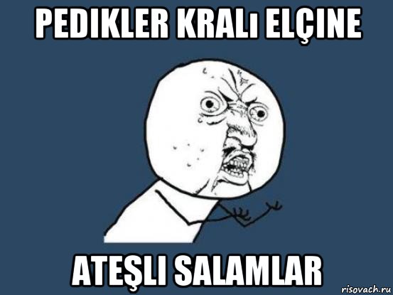 pedikler kralı elçine ateşli salamlar, Мем Ну почему