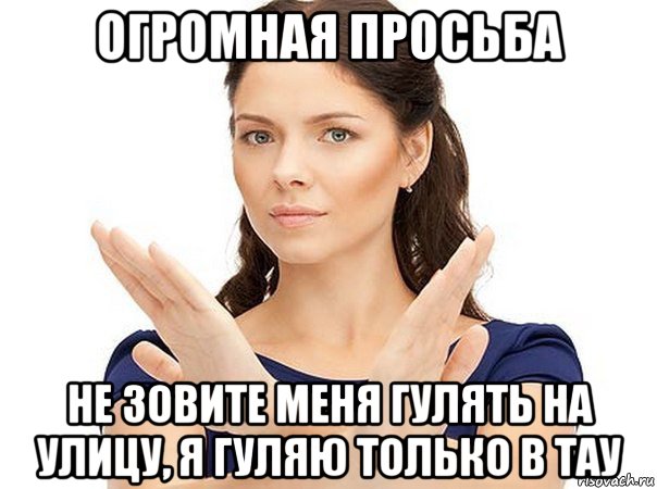 огромная просьба не зовите меня гулять на улицу, я гуляю только в тау, Мем Огромная просьба