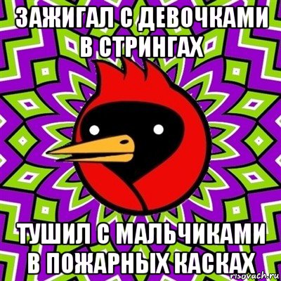 зажигал с девочками в стрингах тушил с мальчиками в пожарных касках, Мем Омская птица