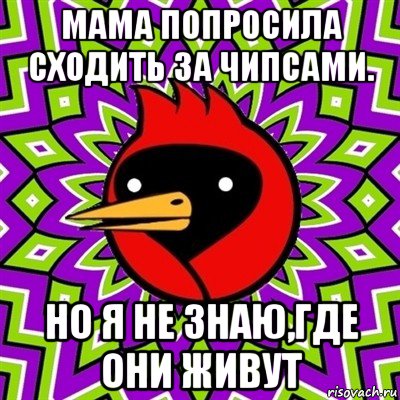 мама попросила сходить за чипсами. но я не знаю,где они живут, Мем Омская птица