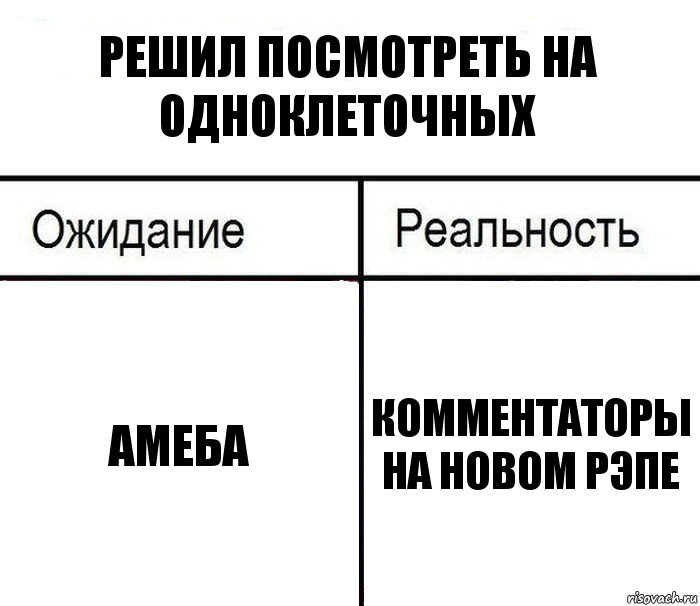 Решил посмотреть на одноклеточных Амеба Комментаторы на новом рэпе, Комикс  Ожидание - реальность