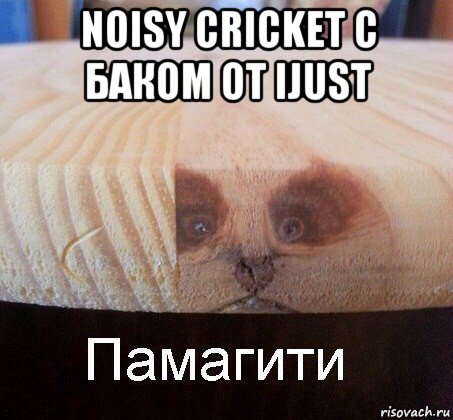 noisy cricket с баком от ijust , Мем   Памагити