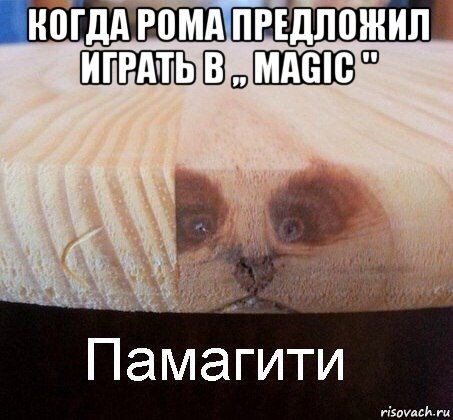 когда рома предложил играть в ,, magic " , Мем   Памагити