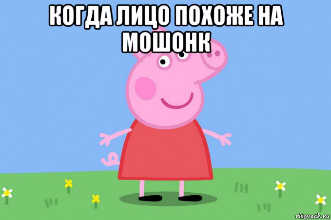 когда лицо похоже на мошонк , Мем Пеппа