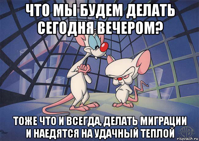 что мы будем делать сегодня вечером? тоже что и всегда, делать миграции и наедятся на удачный теплой