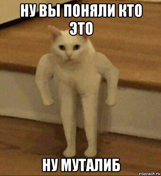 ну вы поняли кто это ну муталиб, Мем  Полукот