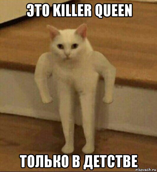 это killer queen только в детстве, Мем  Полукот