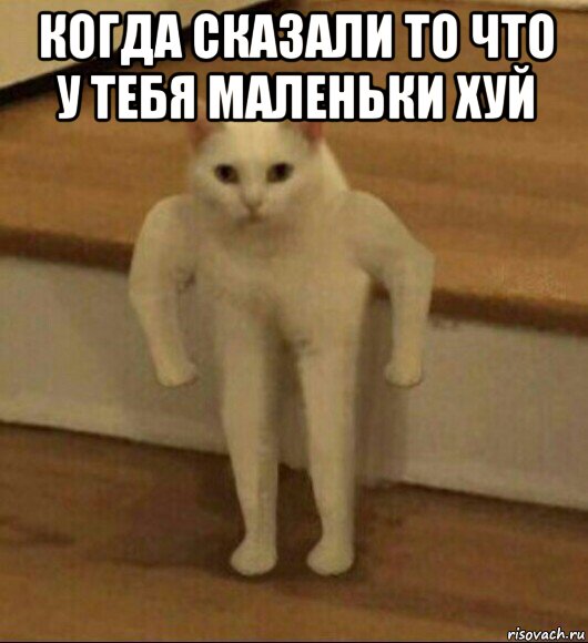 когда сказали то что у тебя маленьки хуй , Мем  Полукот