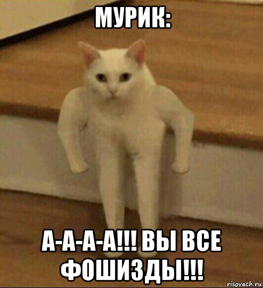 мурик: а-а-а-а!!! вы все фошизды!!!, Мем  Полукот