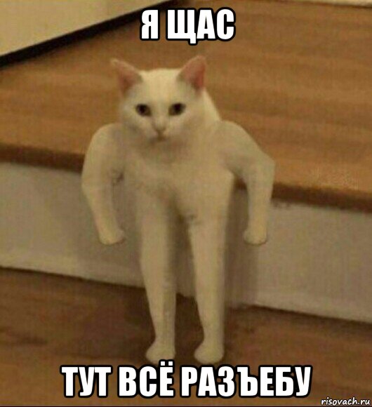 я щас тут всё разъебу