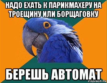 надо ехать к парикмахеру на троещину или борщаговку берешь автомат, Мем Попугай параноик