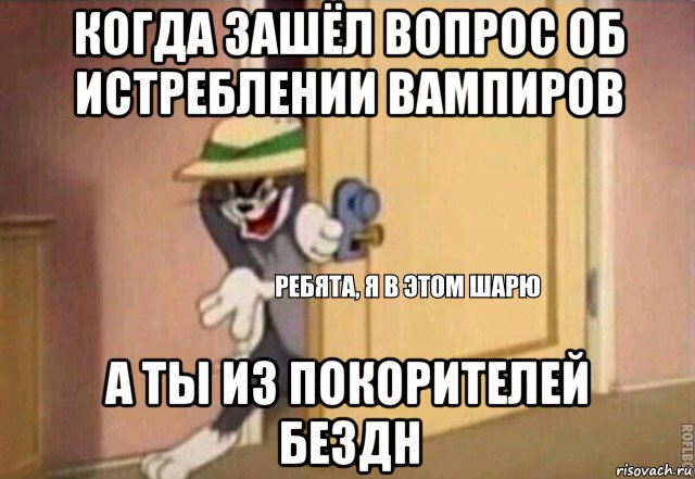 когда зашёл вопрос об истреблении вампиров а ты из покорителей бездн, Мем    Ребята я в этом шарю