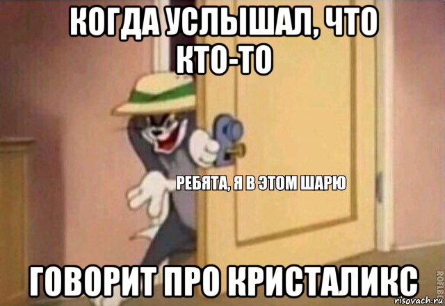 когда услышал, что кто-то говорит про кристаликс, Мем    Ребята я в этом шарю