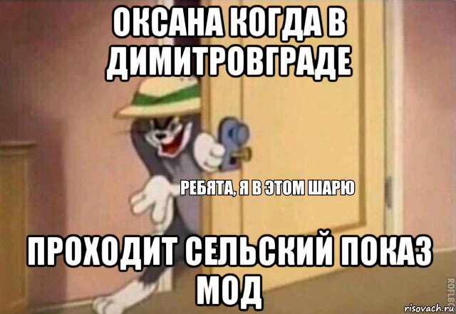 оксана когда в димитровграде проходит сельский показ мод, Мем    Ребята я в этом шарю