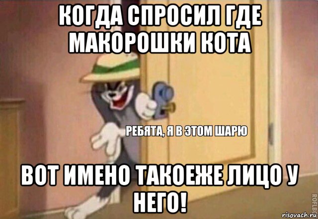 когда спросил где макорошки кота вот имено такоеже лицо у него!, Мем    Ребята я в этом шарю