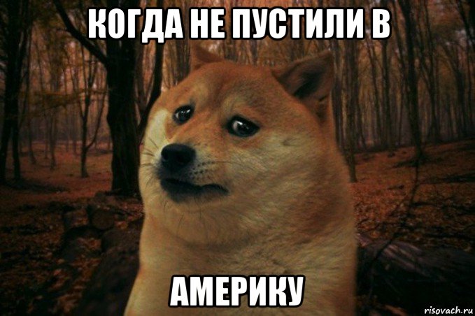 когда не пустили в америку, Мем SAD DOGE