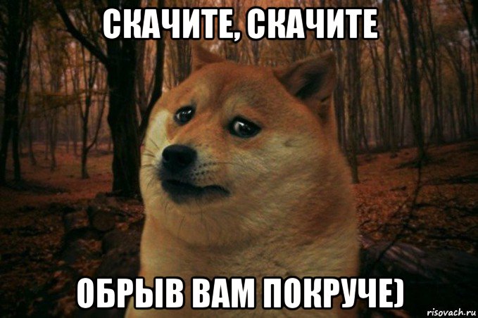 скачите, скачите обрыв вам покруче), Мем SAD DOGE