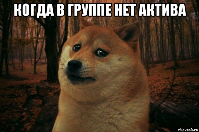 когда в группе нет актива , Мем SAD DOGE