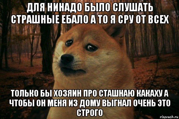 для нинадо было слушать страшные ебало а то я сру от всех только бы хозяин про сташнаю какаху а чтобы он меня из дому выгнал очень это строго, Мем SAD DOGE