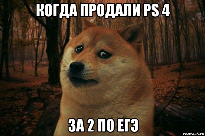 когда продали ps 4 за 2 по егэ, Мем SAD DOGE