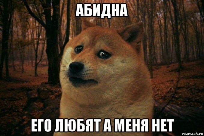 абидна его любят а меня нет, Мем SAD DOGE