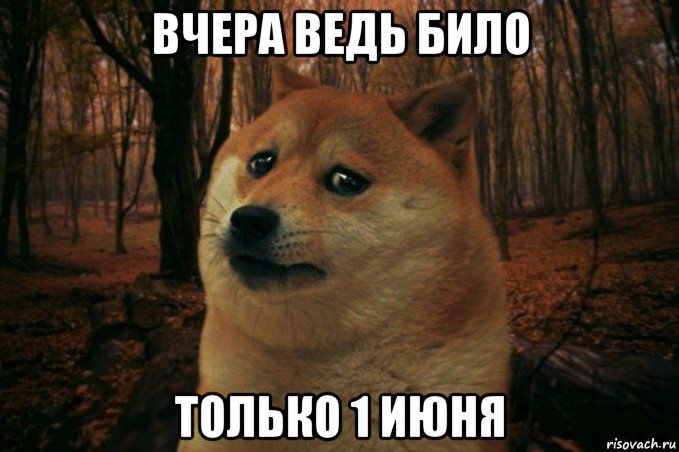 вчера ведь било только 1 июня, Мем SAD DOGE