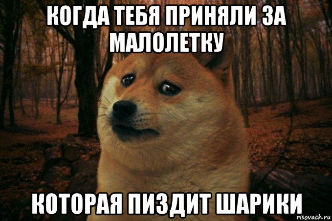 когда тебя приняли за малолетку которая пиздит шарики, Мем SAD DOGE