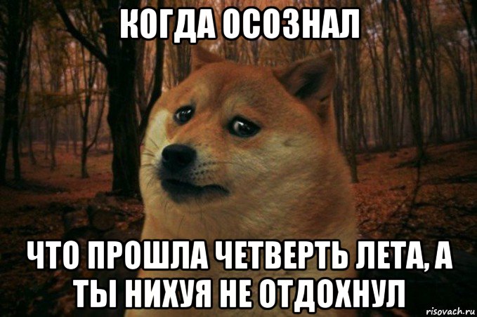 когда осознал что прошла четверть лета, а ты нихуя не отдохнул, Мем SAD DOGE