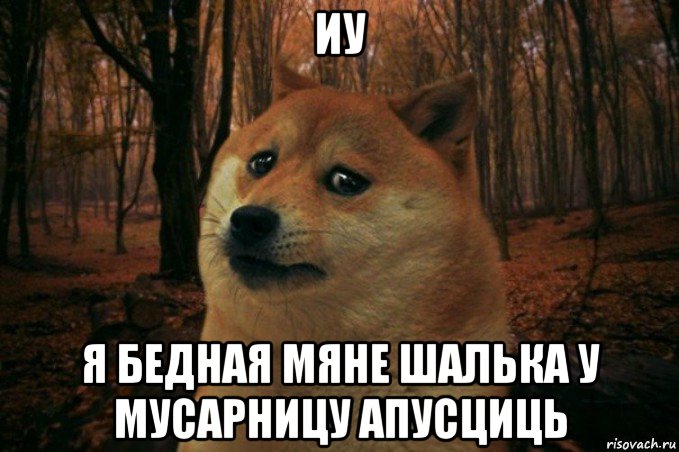 иу я бедная мяне шалька у мусарницу апусциць, Мем SAD DOGE