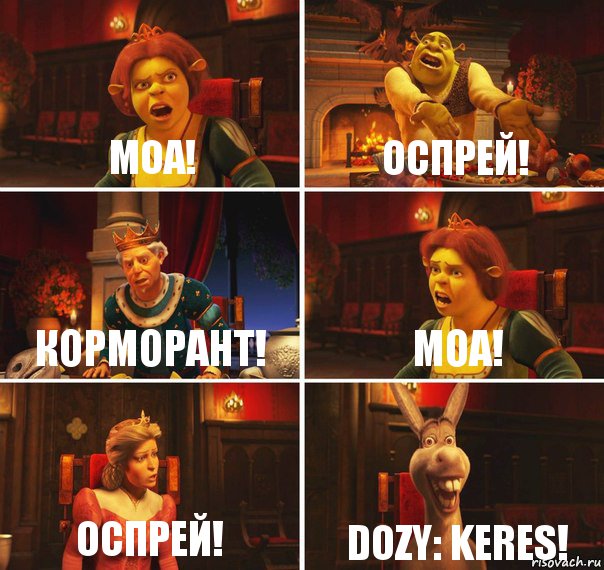 МОА! ОСПРЕЙ! корморант! МОА! ОСПРЕЙ! dozy: keres!, Комикс  Шрек Фиона Гарольд Осел