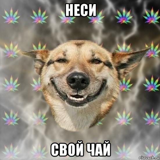 неси свой чай