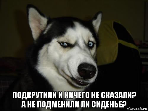 Подкрутили и ничего не сказали?
А не подменили ли сиденье?, Комикс  Собака подозревака