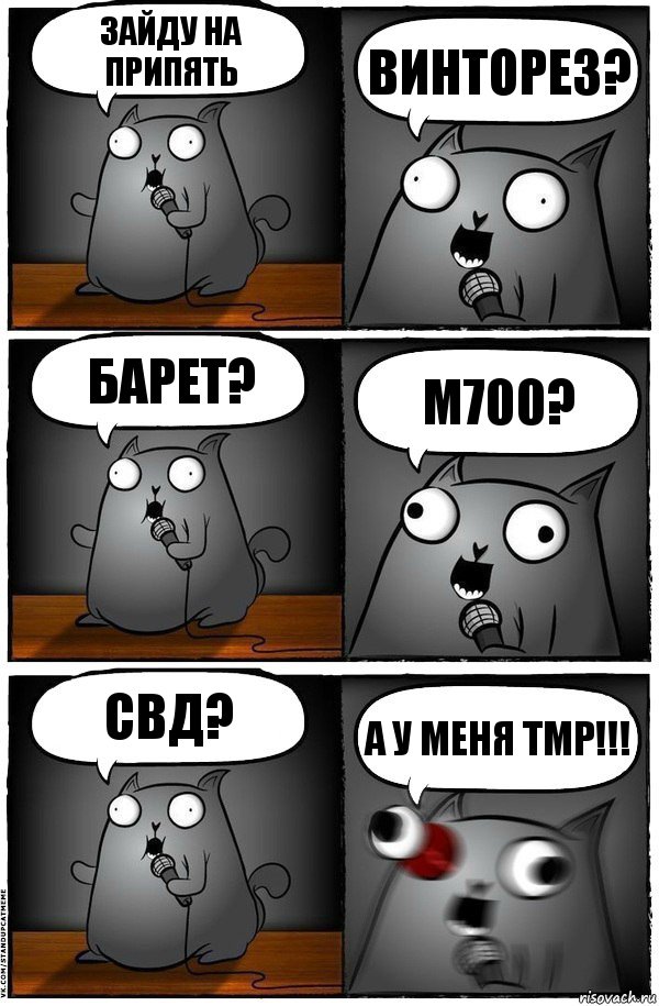 Зайду на припять Винторез? Барет? M700? свд? А У МЕНЯ TMP!!!, Комикс  Стендап-кот