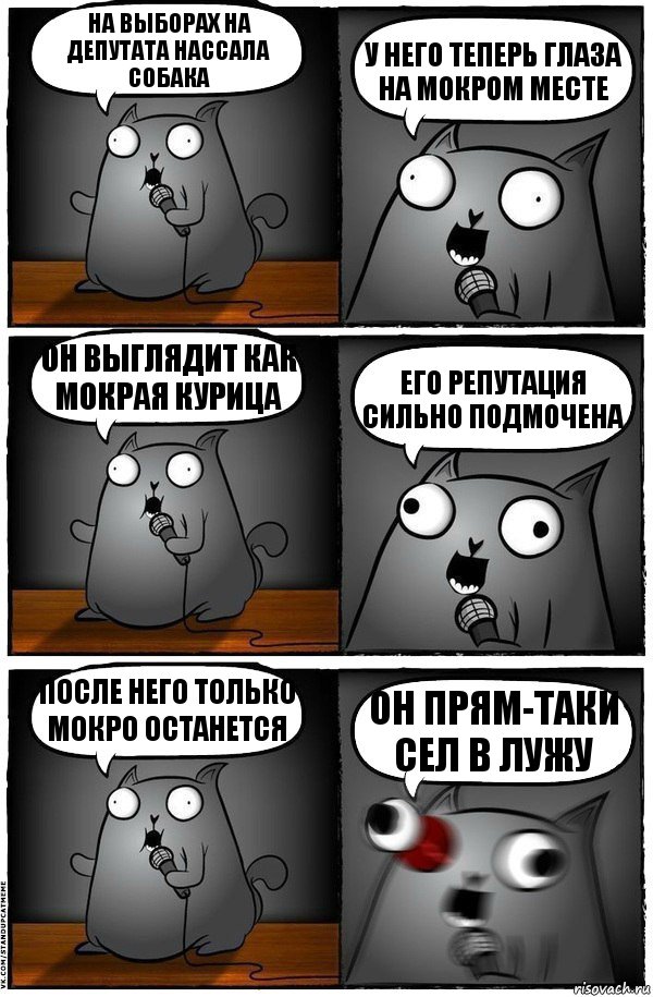 На выборах на депутата нассала собака у него теперь глаза на мокром месте он выглядит как мокрая курица его репутация сильно подмочена после него только мокро останется он прям-таки сел в лужу, Комикс  Стендап-кот