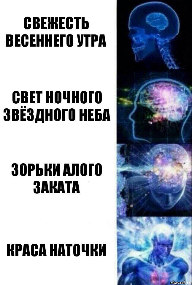 Свежесть весеннего утра Свет ночного звёздного неба Зорьки алого заката Краса Наточки, Комикс  Сверхразум