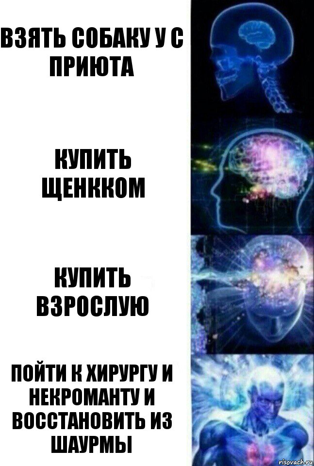 Взять собаку у с приюта купить щенкком купить взрослую пойти к хирургу и некроманту и восстановить из шаурмы, Комикс  Сверхразум