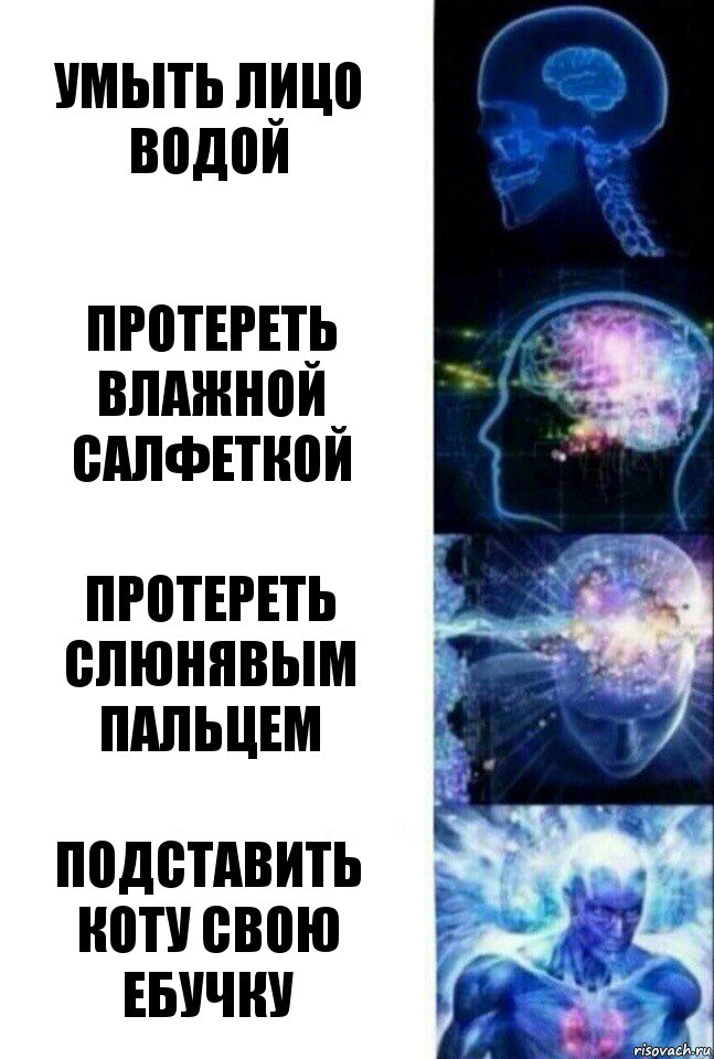 Умыть лицо водой Протереть влажной салфеткой Протереть слюнявым пальцем ПОдставить коту свою ебучку, Комикс  Сверхразум