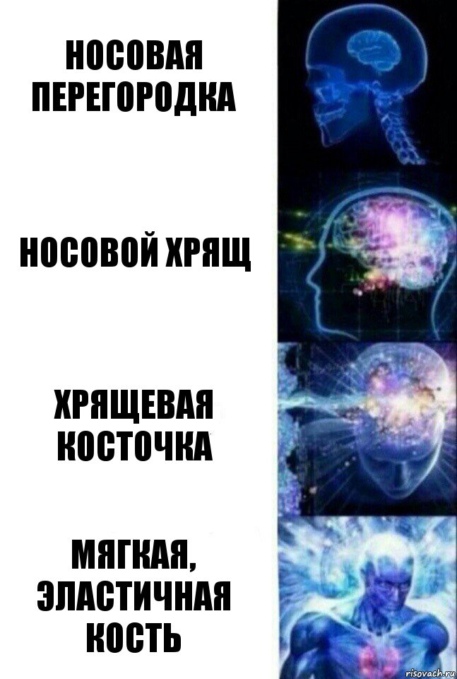 Носовая перегородка Носовой хрящ Хрящевая косточка Мягкая, эластичная кость, Комикс  Сверхразум