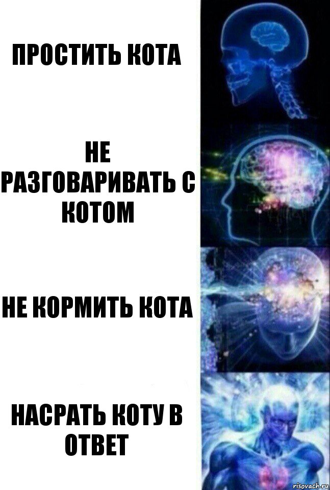 Простить кота Не разговаривать с котом Не кормить кота Насрать коту в ответ, Комикс  Сверхразум