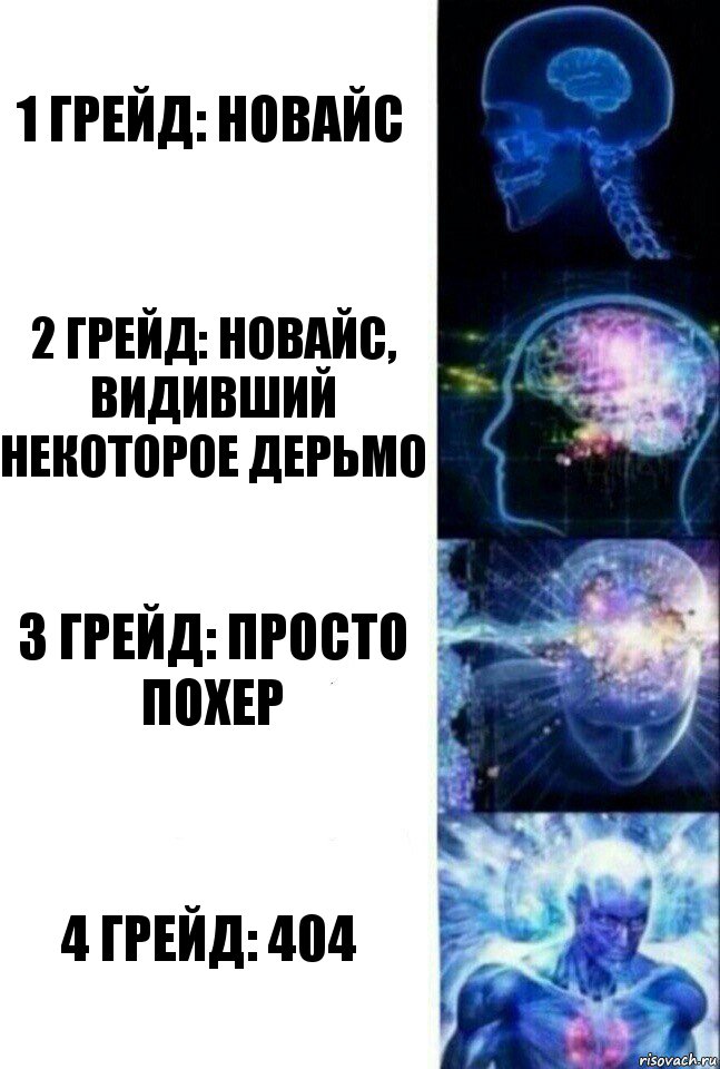 1 грейд: новайс 2 грейд: новайс, видивший некоторое дерьмо 3 грейд: просто похер 4 грейд: 404, Комикс  Сверхразум