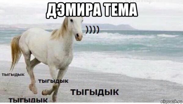 дэмира тема , Мем   Тыгыдык