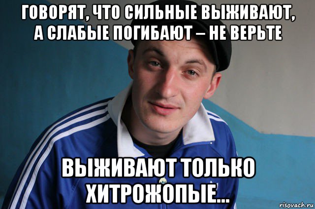 говорят, что сильные выживают, а слабые погибaют – не верьте выживают только хитрожопые..., Мем Типичный гопник