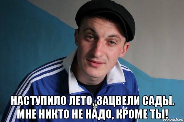  наступило лето, зацвели сады. мне никто не надо, кроме ты!, Мем Типичный гопник