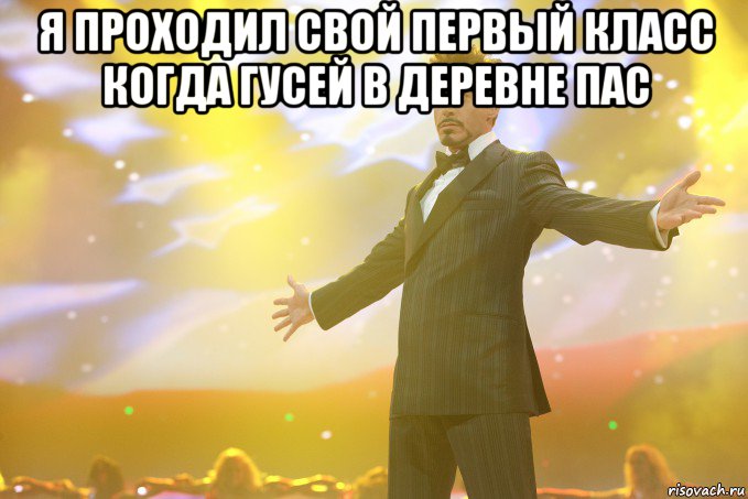 я проходил свой первый класс когда гусей в деревне пас , Мем Тони Старк (Роберт Дауни младший)