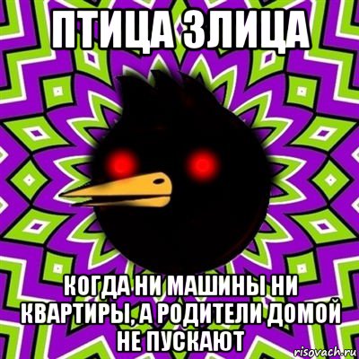 птица злица когда ни машины ни квартиры, а родители домой не пускают, Мем  Тёмный Омич