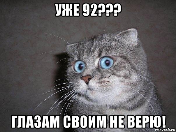 уже 92??? глазам своим не верю!, Мем  удивлённый кот