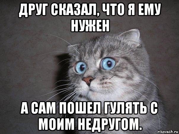 друг сказал, что я ему нужен а сам пошел гулять с моим недругом., Мем  удивлённый кот