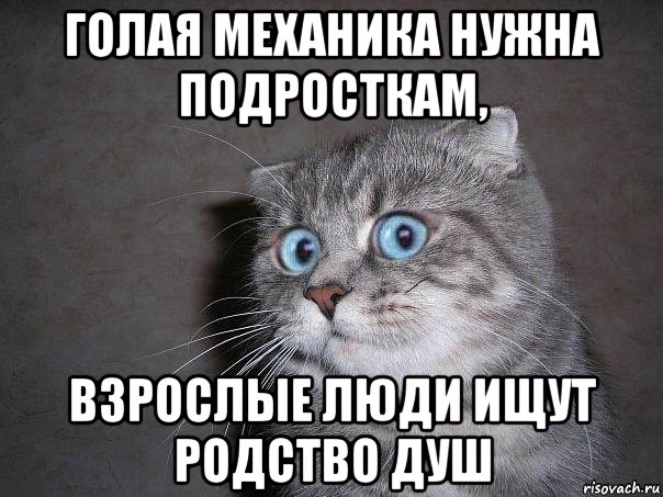 голая механика нужна подросткам, взрослые люди ищут родство душ, Мем  удивлённый кот