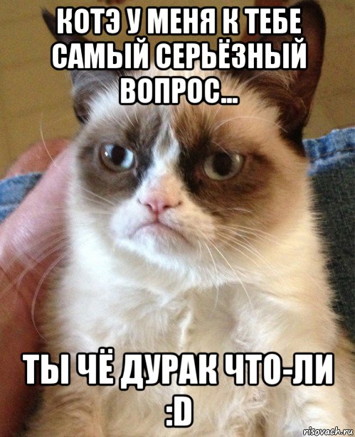 котэ у меня к тебе самый серьёзный вопрос... ты чё дурак что-ли :d, Мем Угрюмый кот