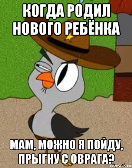 когда родил нового ребёнка мам, можно я пойду, прыгну с оврага?, Мем    Упоротая сова